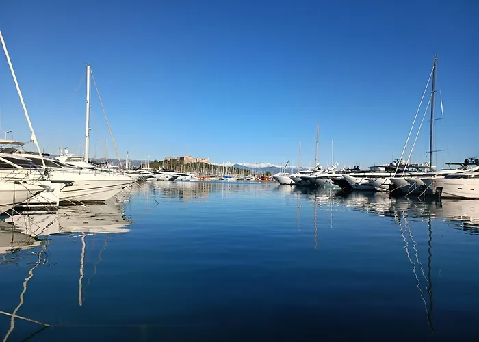 Ara 40M2 Terrasse Angle 35 M2 Piscine Free Parking Apartmán Antibes