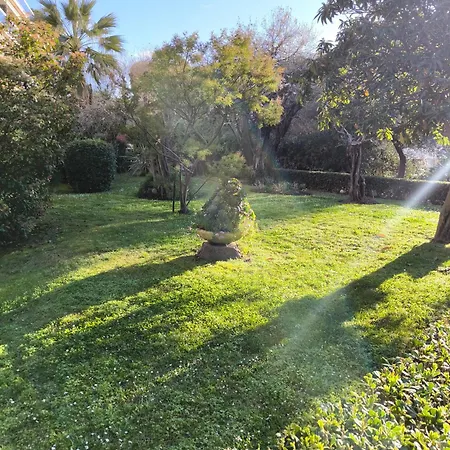Ara 40m2 Classe Immense Terrasse 35 M2 Piscine Juan Parking * Antibes