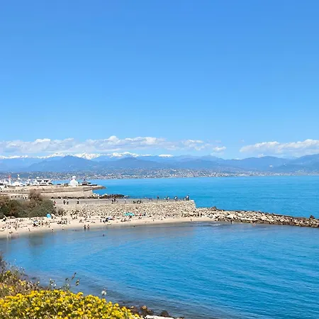 Ara 40m2 Classe Immense Terrasse 35 M2 Piscine Juan Parking